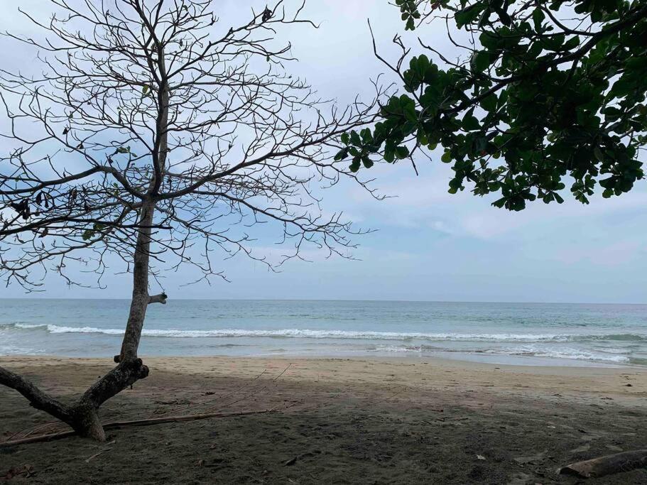 Beautiful Loft Near The Beach Apartamento Puerto Manzanillo Exterior foto